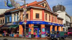 Little India Conservation Area (D8), Shop House #619485691